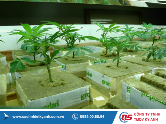 THI CÔNG CÁCH NHIỆT BẰNG BỌT THỦY TINH CELLULAR GLASS TRONG CÁCH NHIỆT LẠNH
